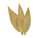 Aromatic Bay Leaf