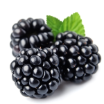 Black Berry