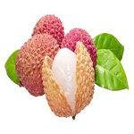 Litchi