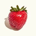Straw Berry