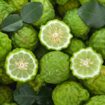 bitterness of bergamot blend