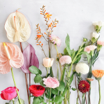 Flowers Notes