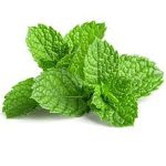 Mint