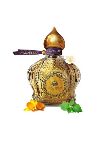 عطر - إرفا (erva)