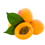 Apricot
