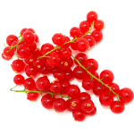 Red Currant