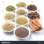 Cinnamon and Coriander